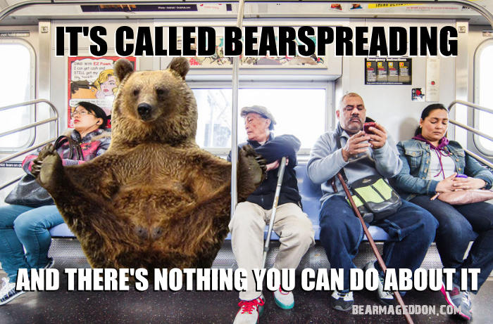check your privilege bear