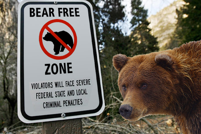 The bear's all like "seriously?"