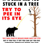 Bear-up-tree-PEE